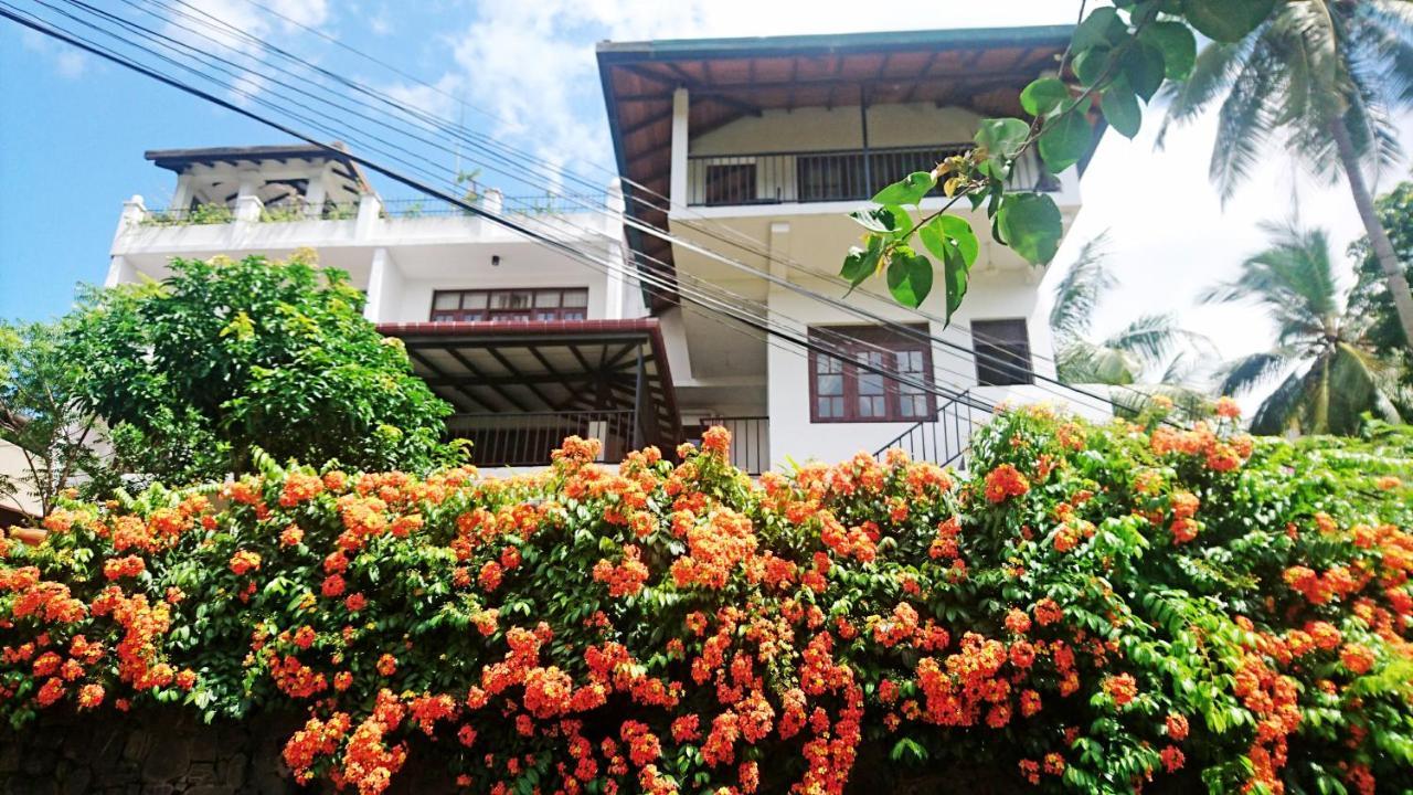 Freedom Lodge Kandy Zewnętrze zdjęcie